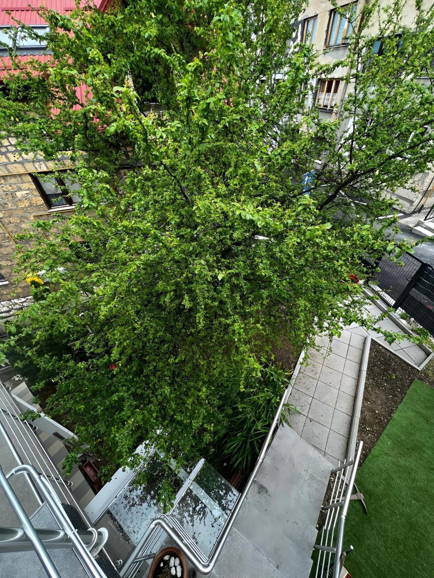 No1 Lux Apartment In Heart Of SJJ Exterior foto